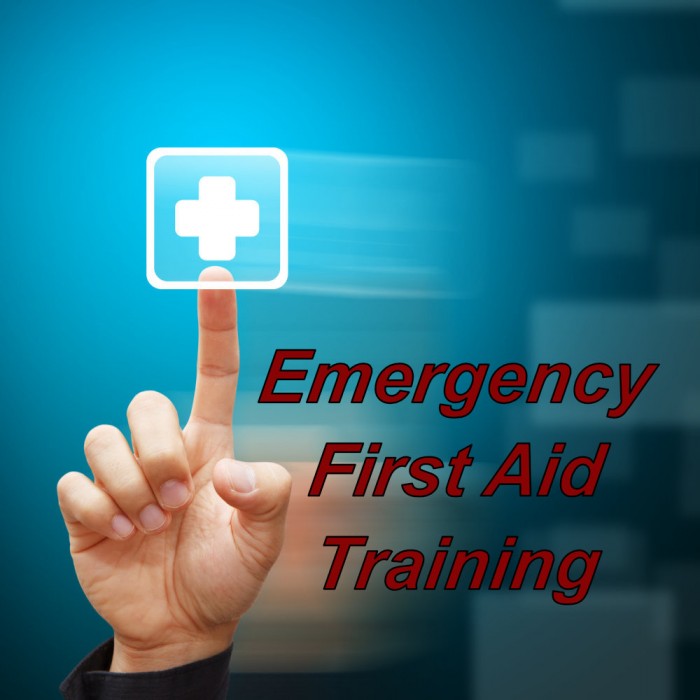 Emergency First Aid Training Course Online, complete your programme via e-learning