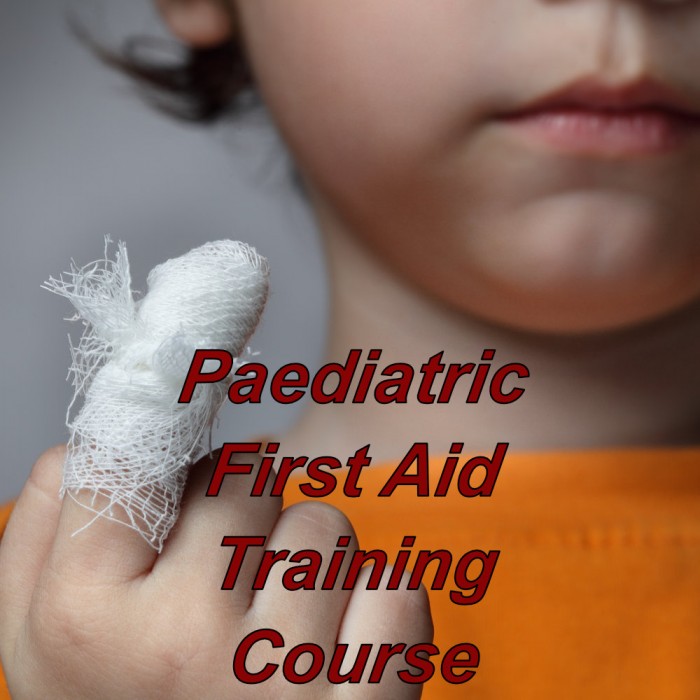 Paediatric online first aid training for childminders, nannies, cpd certified course