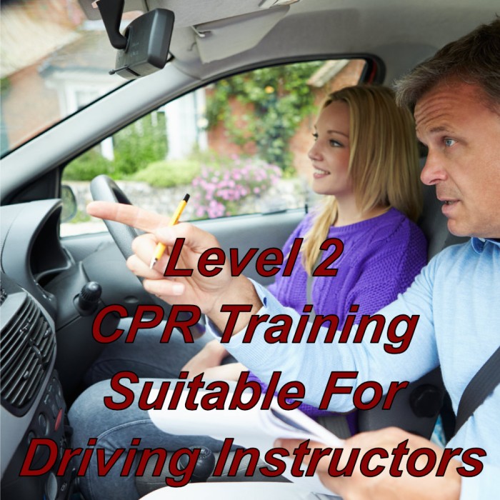 Level 2 CPR training online, suitable for driving instructors