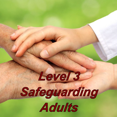 Safeguarding vulnerable adults training online, complete your cpd certified course via e-learning