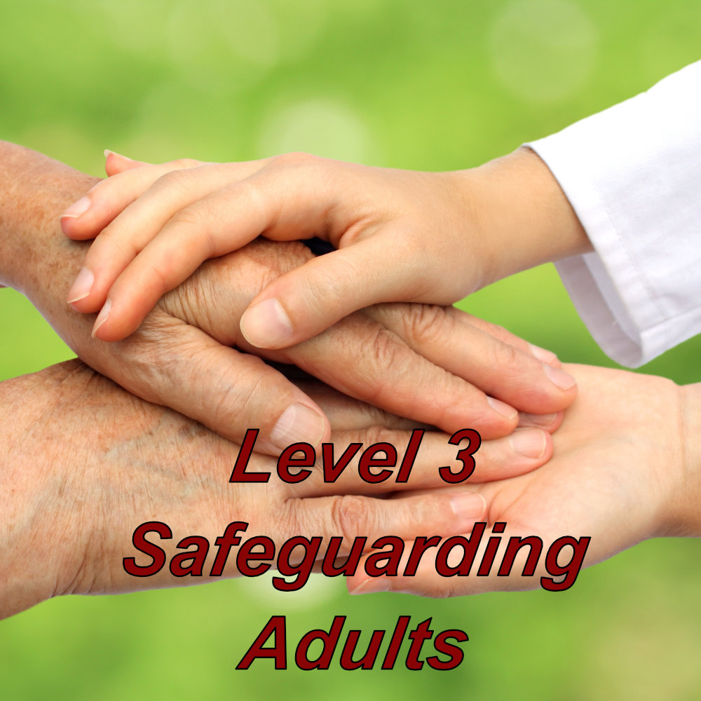 Level 3 safeguarding adults training online for healthcare professionals, click here for additional information.