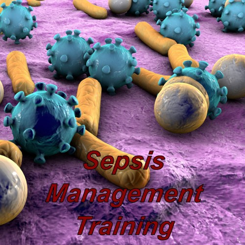 Sepsis management, level 3 cpd certified online training course