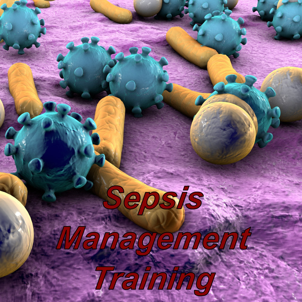 Sepsis management training online for healthcare professionals, click here for additional information.
