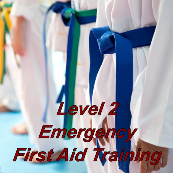 Online emergency first aid training suitable for martial arts