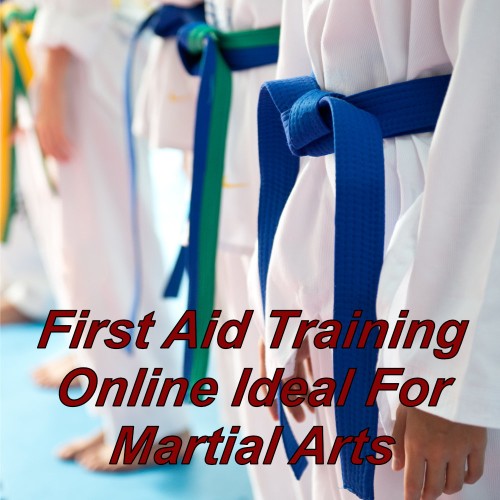 Online first aid training suitable for martial arts, level 3 CPD certified course.
