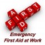 Online first aid at work training, level 2 emergency course