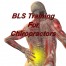 BLS training online suitable for Chiropractors, Osteopaths, Chiropractic & Osteopathy students, CPD certified level 2 course
