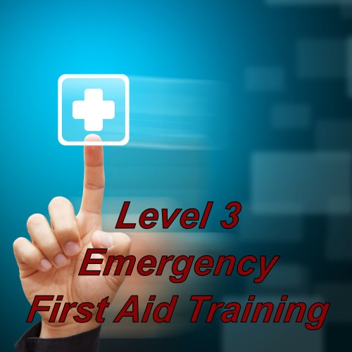Emergency first aid training online, level 3 course certification
