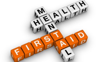 Mental health first aid online training course