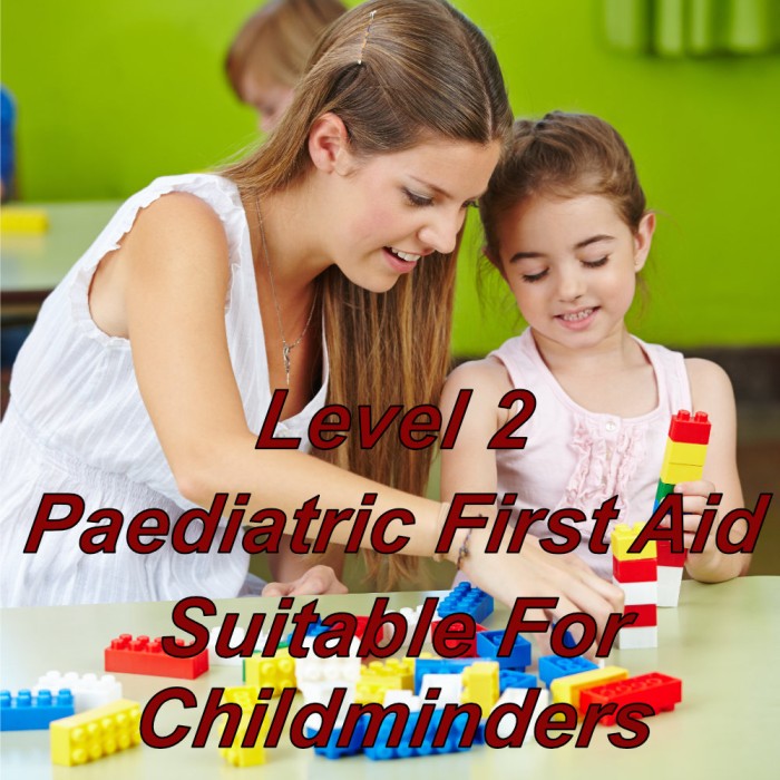 Level 2 paediatric first aid training, suitable for childminders, nannies