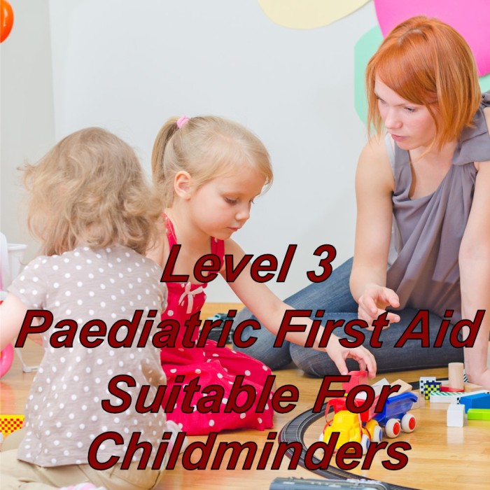 Level 3 paediatric first aid training online, suitable for childminders, nannies & school teachers.