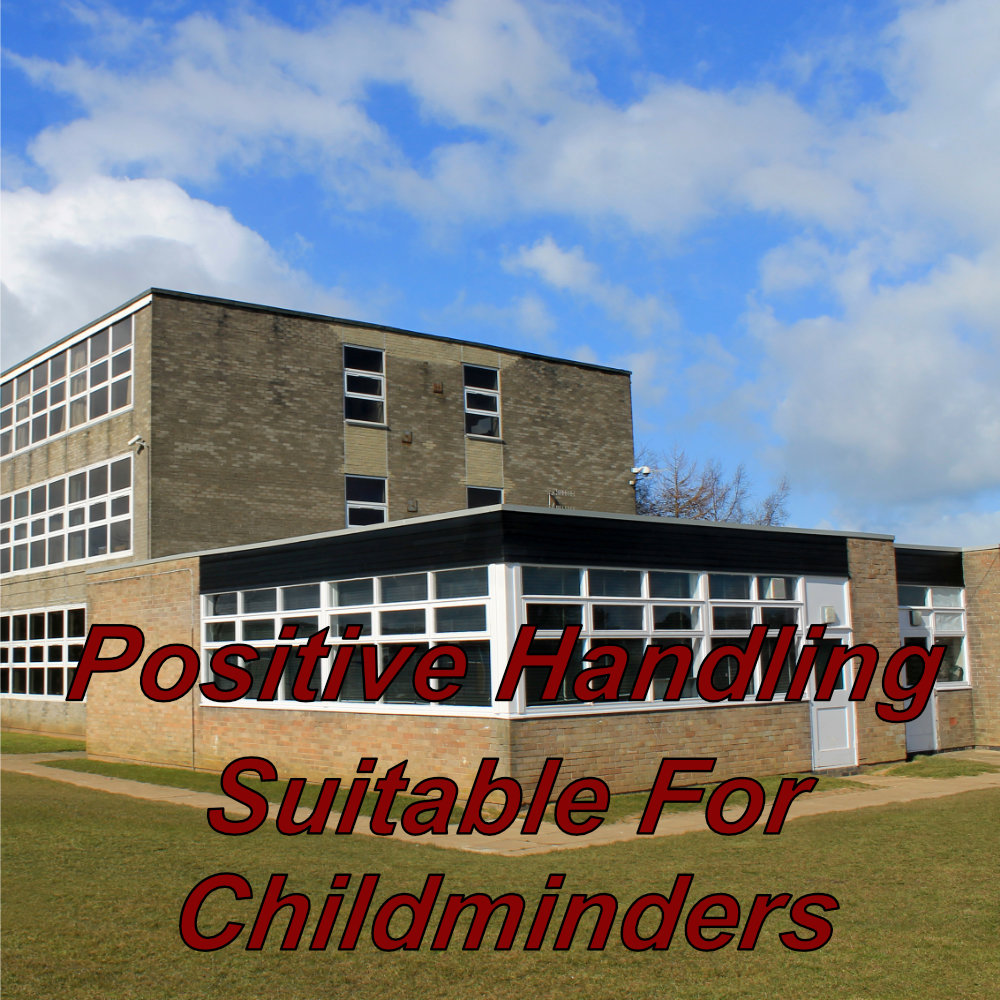 Positive handling course, suitable for childminders